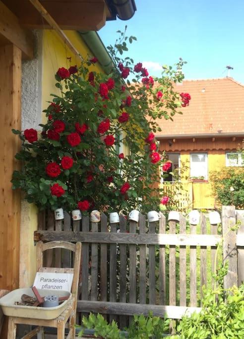 Ferienhaus Mit Garten In Thermennaehe Strebersdorf Exterior photo